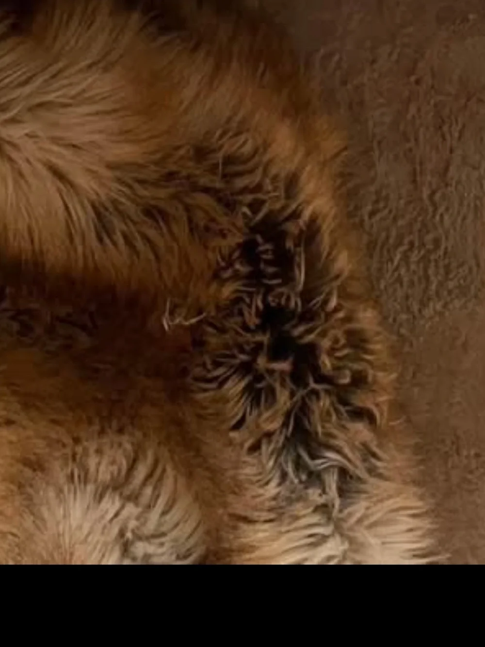 Huge Fur Blanket